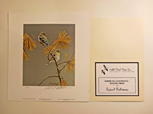 Load image into Gallery viewer, American Goldfinch - Winter Dress, Robert Bateman Signed Print 9 3/4&quot; x 10&quot;
