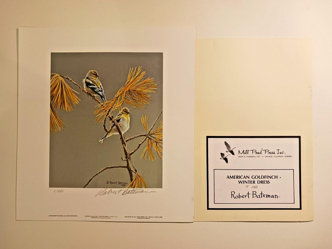 American Goldfinch - Winter Dress, Robert Bateman Signed Print 9 3/4