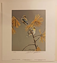 Load image into Gallery viewer, American Goldfinch - Winter Dress, Robert Bateman Signed Print 9 3/4&quot; x 10&quot;
