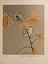 Load image into Gallery viewer, American Goldfinch - Winter Dress, Robert Bateman Signed Print 9 3/4&quot; x 10&quot;
