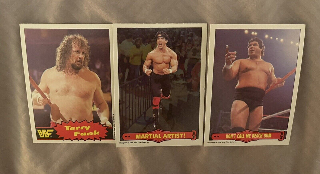 WWF O Pee Chee cards #15 Funk, #16 Martial artist#16, #17 Beach Bum