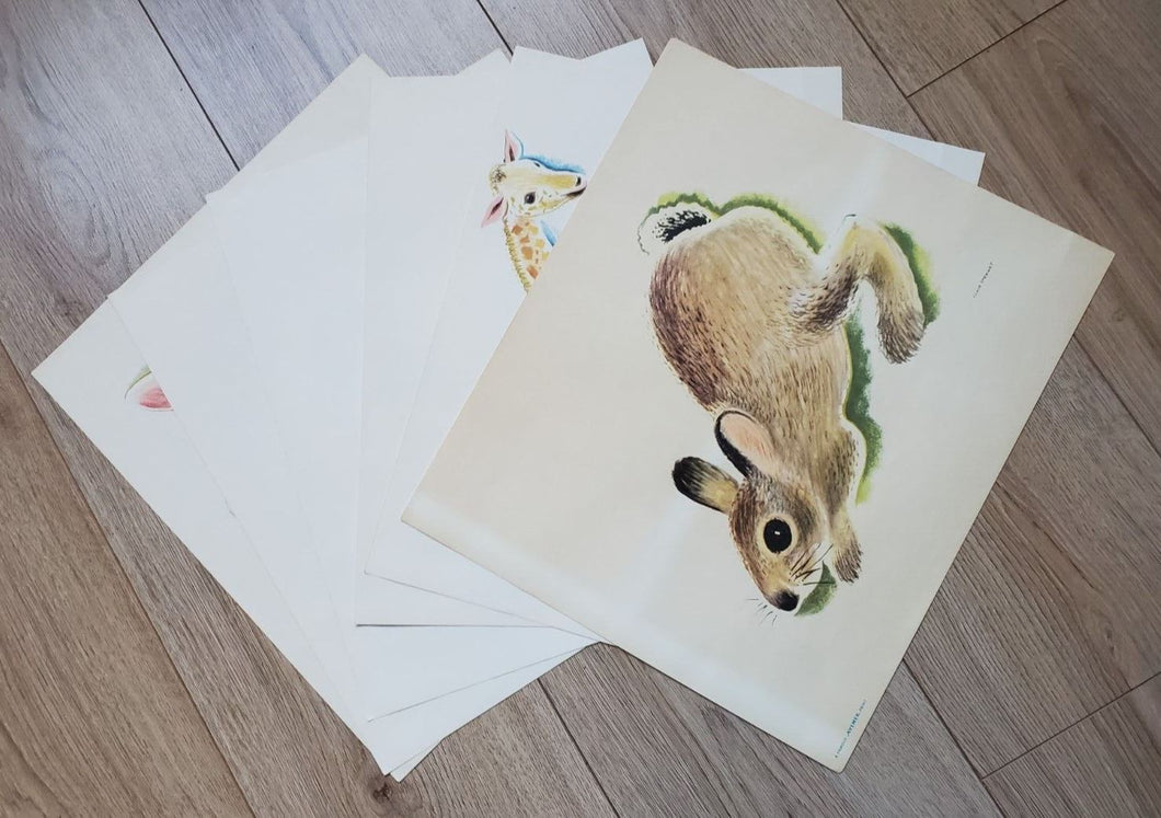 Set of 6 Famous Aylmer Animal Prints – In Original Mailing Envelope