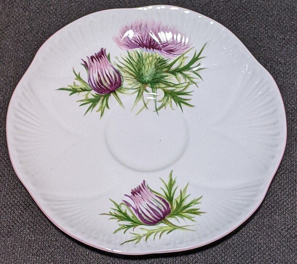 SHELLEY Bone China Saucer - Thistle - Pink Scalloped Border