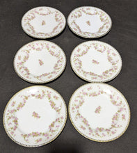 Load image into Gallery viewer, Large Mixed Lot of 25 Bridal Rose pattern Chinaware Plates - Dealer Lot!!!
