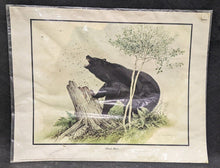 Load image into Gallery viewer, 1969 Canadian Wildlife Reproductions Litho - M.G. Loates - Black Bear - 23&quot;x18&quot;
