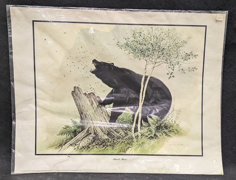 1969 Canadian Wildlife Reproductions Litho - M.G. Loates - Black Bear - 23