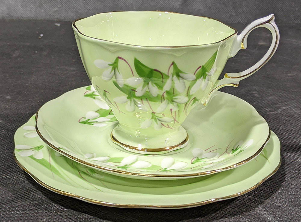 Royal Albert Bone China - Laurentian Snowdrop Trio Set