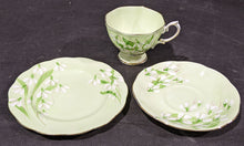 Load image into Gallery viewer, Royal Albert Bone China - Laurentian Snowdrop Trio Set
