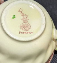 Load image into Gallery viewer, Royal Doulton - Pomeroy - Tea Cup
